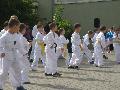 2015-05-30 Pokaz Taekwondo